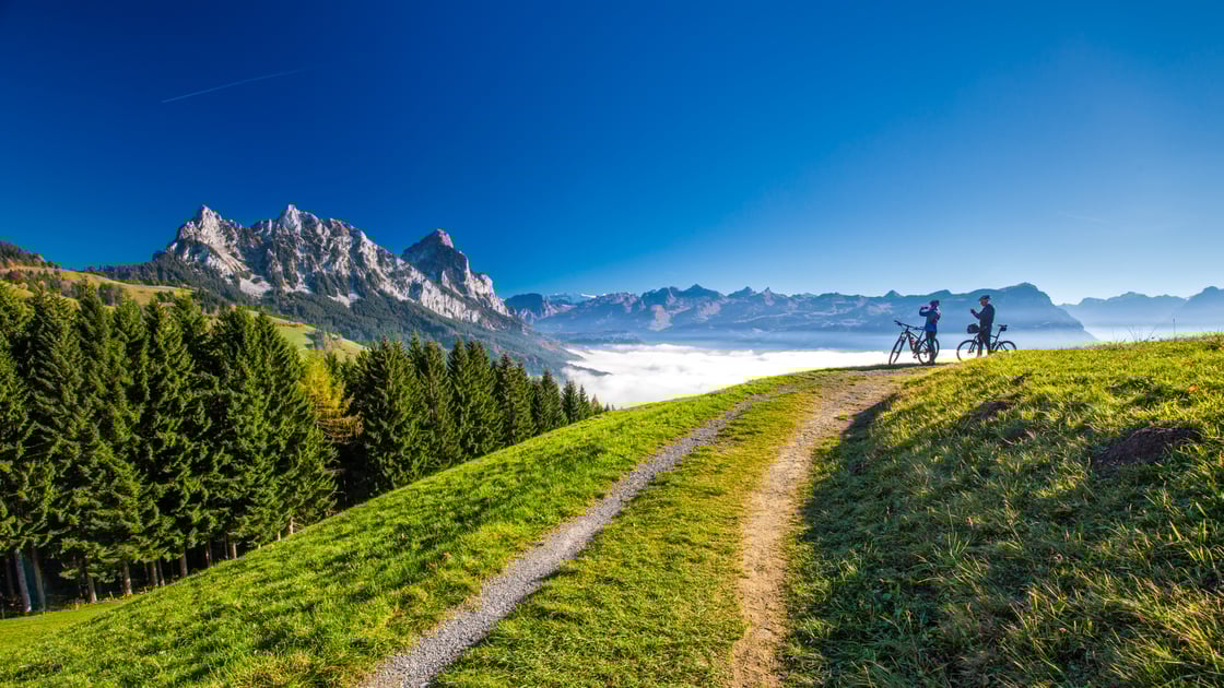 1547-shutterstock_662129533