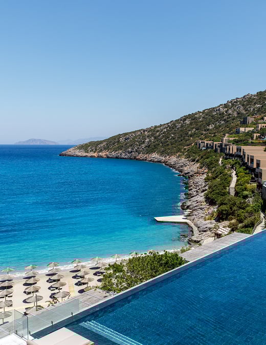 daios-cove-news