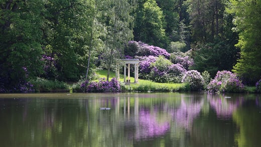 heckfield_pavillion_summer