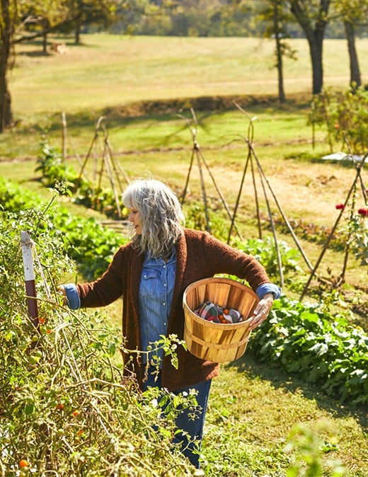 southall-farm-wellness